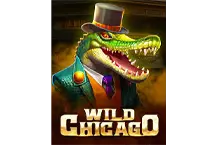Wild Chicago